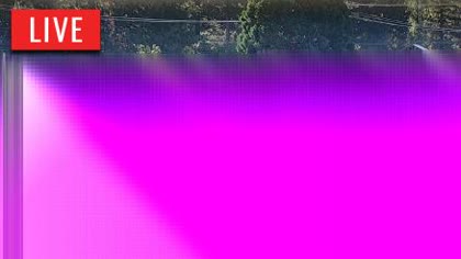 2025-08-31