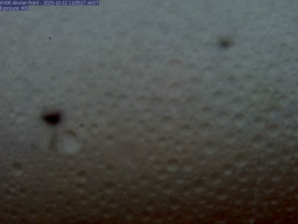 2025-10-12
