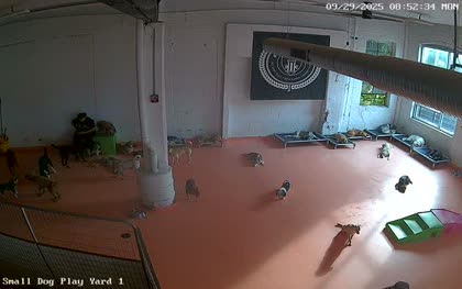 2025-09-29