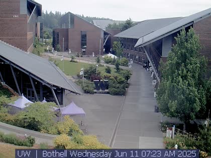 2025-06-11