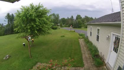 2025-07-03