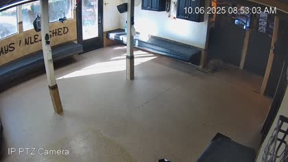 2025-10-06