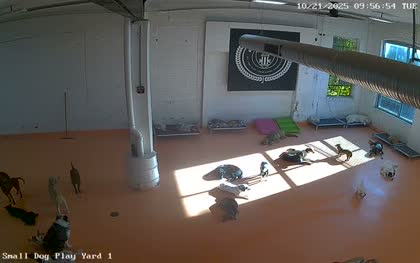2025-10-21