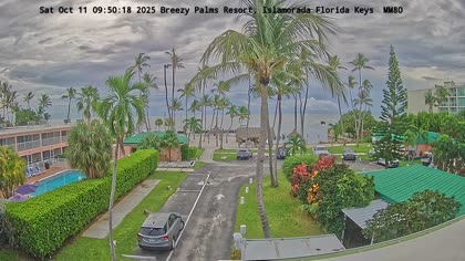 2025-10-11