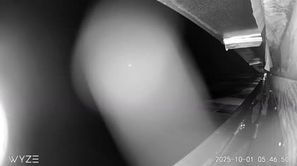 2025-10-01