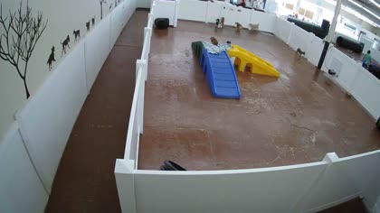 2025-10-07