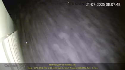 2025-07-31