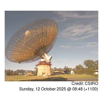 2025-10-11