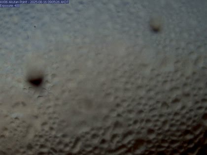 2025-08-16