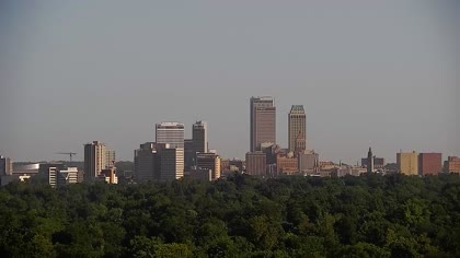 2025-07-29