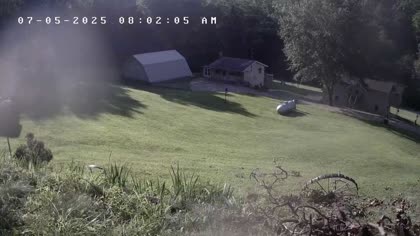 2025-07-05
