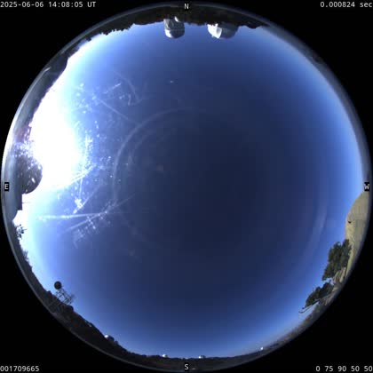 2025-06-06