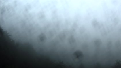 2025-08-03