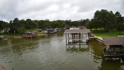 2026-06-11