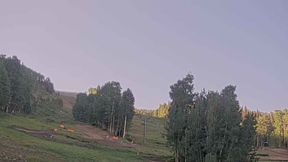 2025-07-12