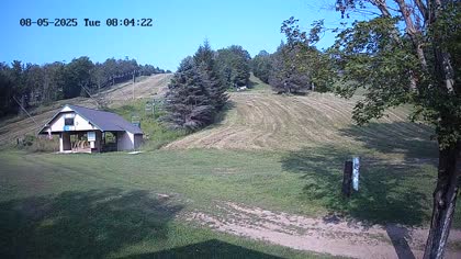2025-08-05