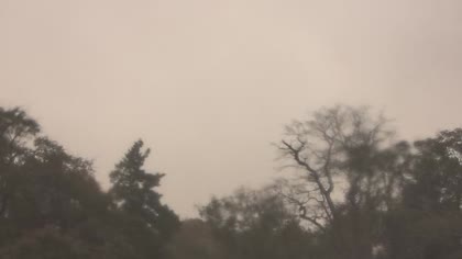 2025-10-13