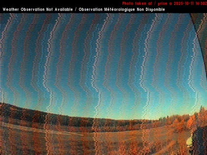 2025-10-11