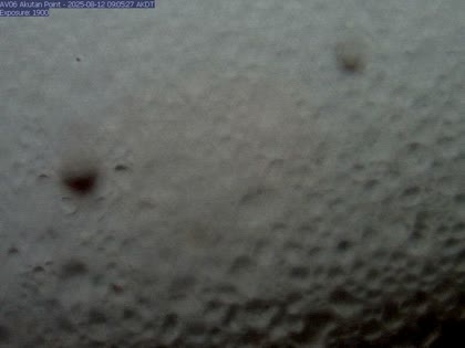 2025-08-12