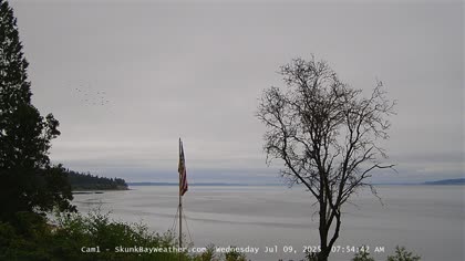 2025-07-09