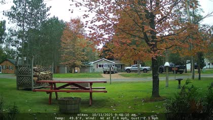 2025-10-11