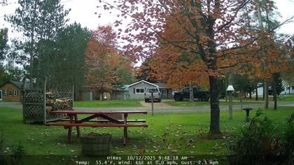 2025-10-12
