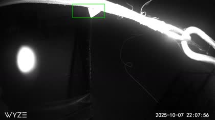 2025-10-08