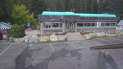 2025-08-15