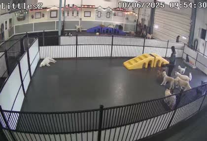 2025-10-06