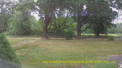 2025-07-06