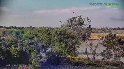 2026-06-20