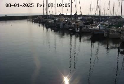 2025-08-01