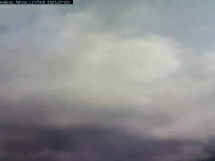 2025-07-20