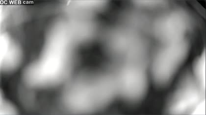 2025-07-03