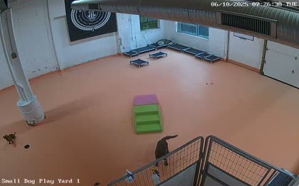 2025-06-10