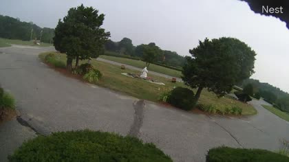 2025-08-05