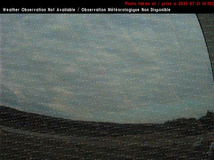 2025-07-21