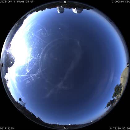 2025-06-11