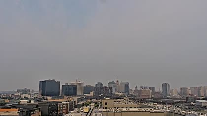 2025-08-05