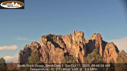 2025-10-11