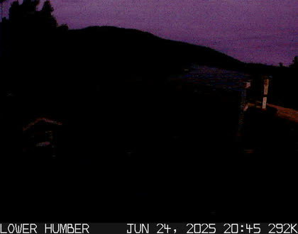 2025-06-25