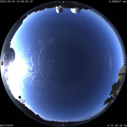 2025-09-03