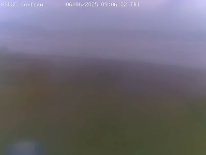 2025-06-05