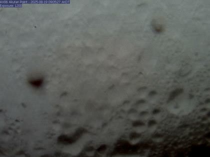2025-08-19