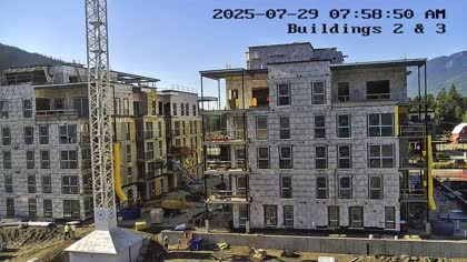 2025-07-29