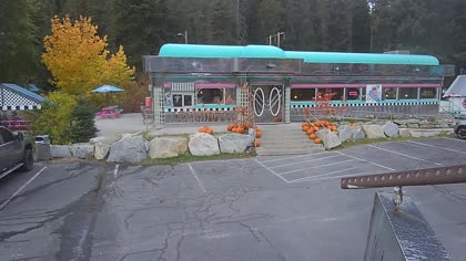2025-10-11