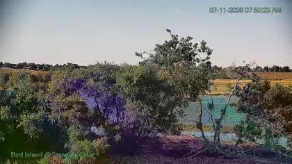 2026-07-11