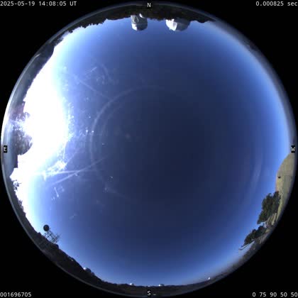 2025-05-19