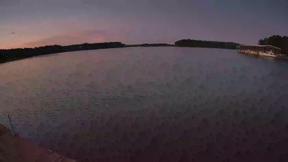 2025-07-29