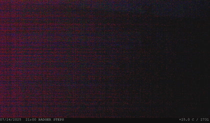 2025-07-25